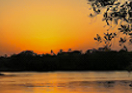 Package Image